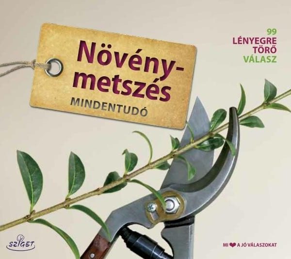 METSZÉS MINDENTUDÓ