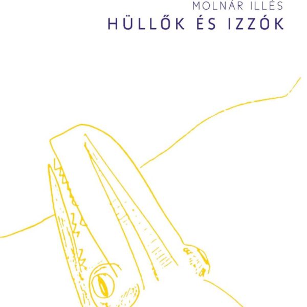 HÜLLŐK ÉS IZZÓK