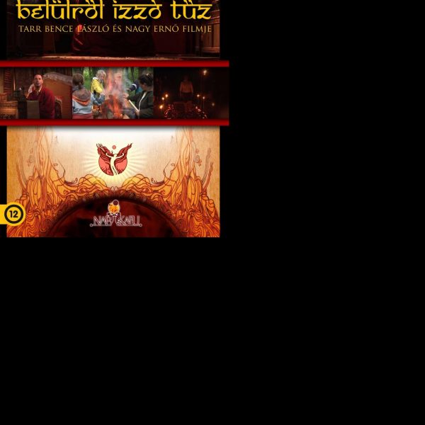 BELÜLRŐL IZZÓ TŰZ - DVD -
