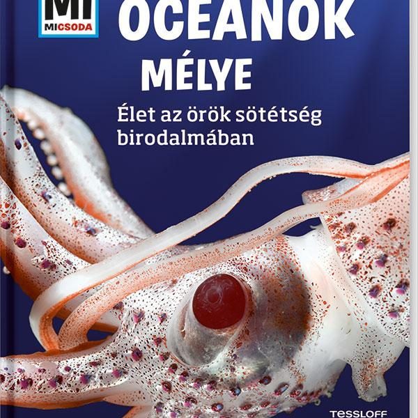 ÓCEÁNOK MÉLYE - ÉLET AZ ÖRÖK SÖTÉTSÉG BIRODALMÁBAN - MI MICSODA