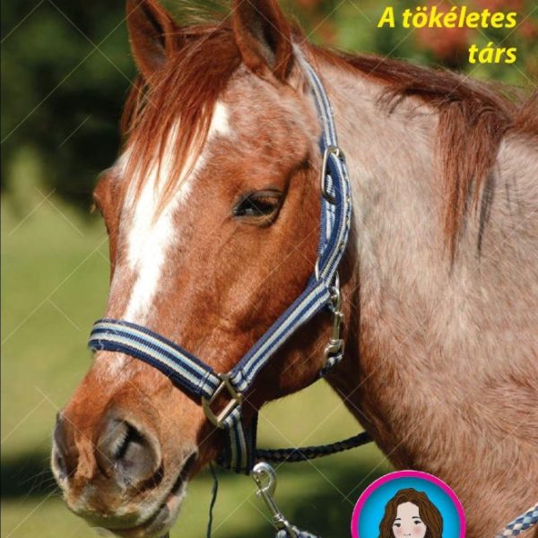 TILLY LOVAS TÖRTÉNETEI 3. - SZELLŐRÓZSA - A TÖKÉLETES TÁRS