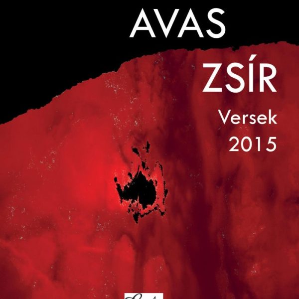 AVAS ZSÍR