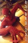 SPIDER-MAN / LEVEL 1
