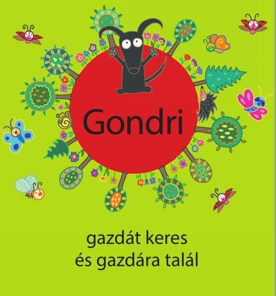 GONDRI GAZDÁT KERES ÉS GAZDÁRA TALÁL