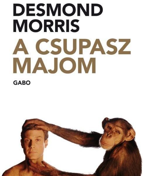 A CSUPASZ MAJOM
