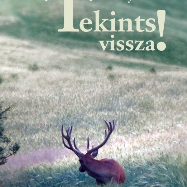 TEKINTS VISSZA!