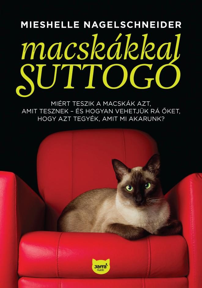MACSKÁKKAL SUTTOGÓ