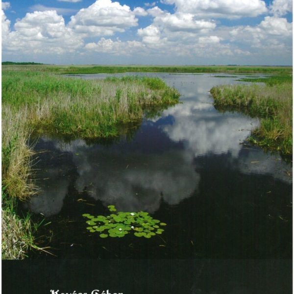 A KUNKÁPOLNÁSI-MOCSÁR