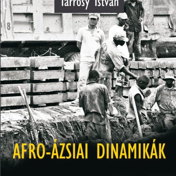 AFRO-ÁZSIAI DINAMIKÁK - TANULMÁNYOK ÁZSIAI ÁLLAMOK AFRIKAI SZEREPVÁLLALÁSAIRÓL