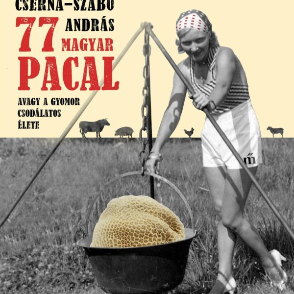 77 MAGYAR PACAL