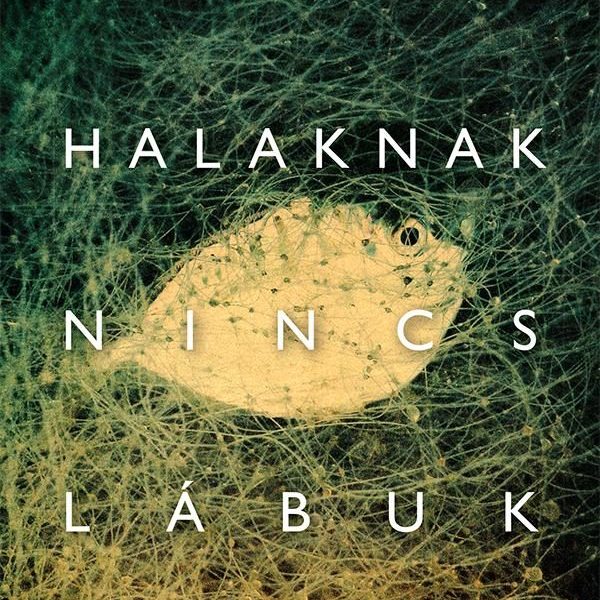 A HALAKNAK NINCS LÁBUK