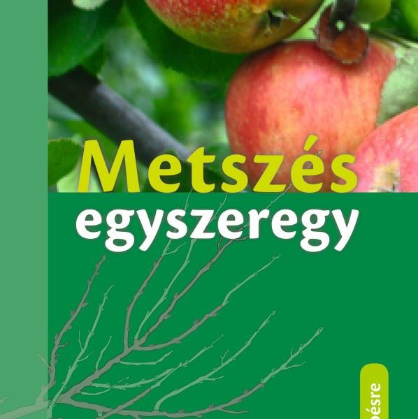 METSZÉS EGYSZEREGY