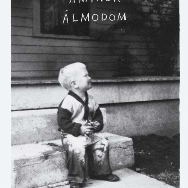 AMINEK ÁLMODOM