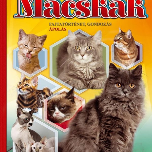 MACSKÁK - KÉPES ISMERETTERJESZTÉS GYEREKEKNEK/FEDEZZÜK FEL EGYÜTT!