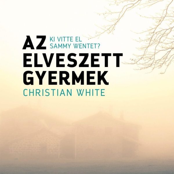 AZ ELVESZETT GYERMEK