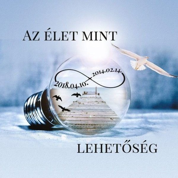 AZ ÉLET MINT VÉGTELEN LEHETŐSÉG