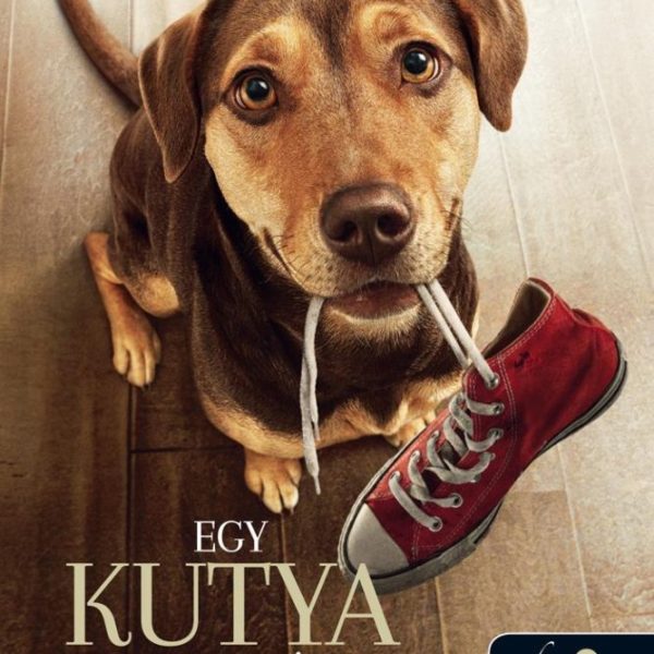 EGY KUTYA HAZATÉR (FILMES BORÍTÓ)