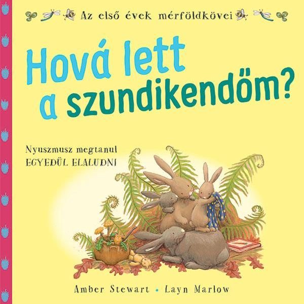 HOVÁ LETT A SZUNDIKENDŐM?