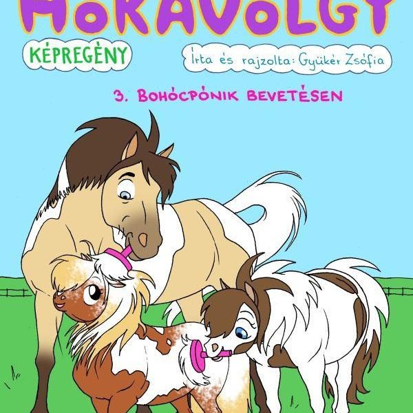 HÓKAVÖLGY 3. - BOHÓCPÓNIK BEVETÉSEN