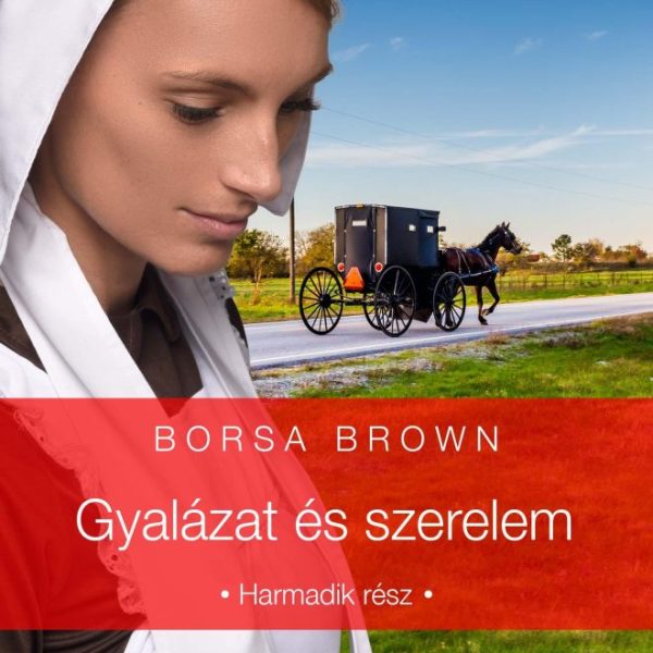 GYALÁZAT ÉS SZERELEM (GYALÁZAT SOROZAT 3.)