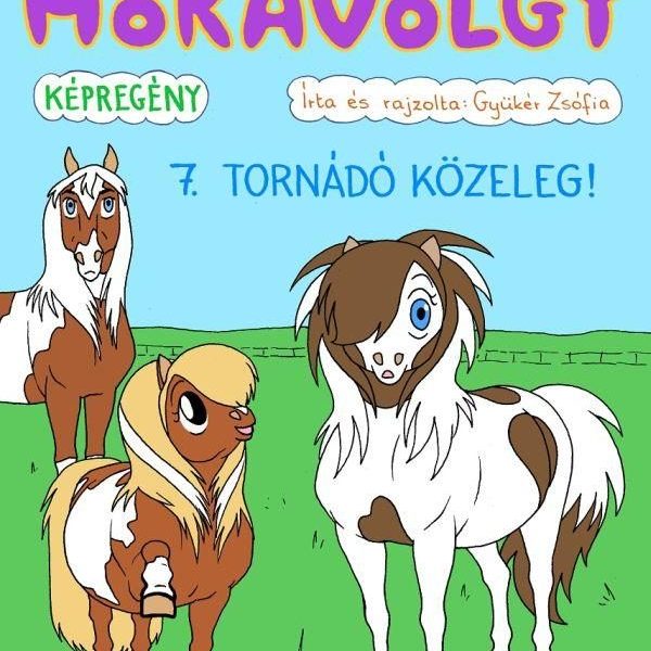 HÓKAVÖLGY 7. - TORNÁDÓ KÖZELEG!