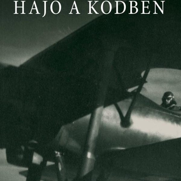 HAJÓ A KÖDBEN