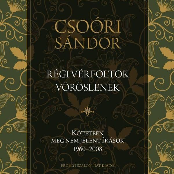 RÉGI VÉRFOLTOK VÖRÖSLENEK - KÖTETBEN MEG NEM JELENT ÍRÁSOK 19602008