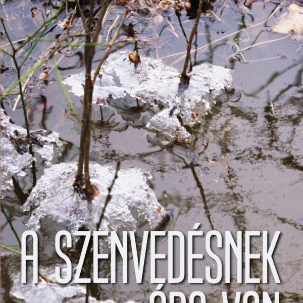 A SZENVEDÉSNEK ÁRA VAN