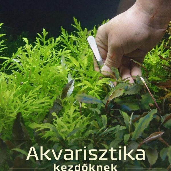 AKVARISZTIKA KEZDŐKNEK