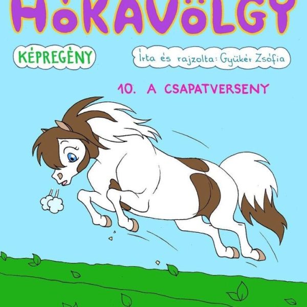 HÓKAVÖLGY 10. - A CSAPATVERSENY