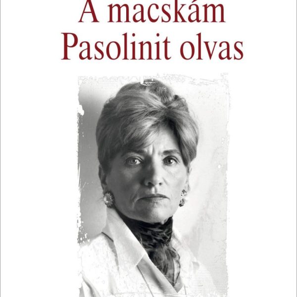 A MACSKÁM PASOLINIT OLVAS