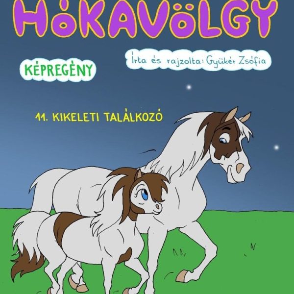 HÓKAVÖLGY 11. - KIKELETI TALÁLKOZÓ