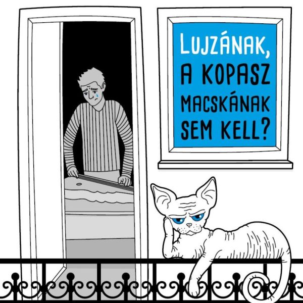 MIT TEHET AZ EMBER, HA MÁR LUJZÁNAK, A KOPASZ MACSKÁNAK SEM KELL?