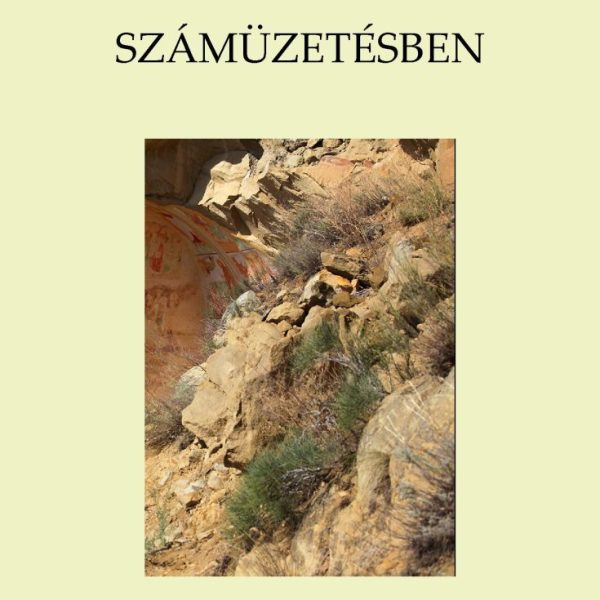 SZÁMŰZETÉSBEN