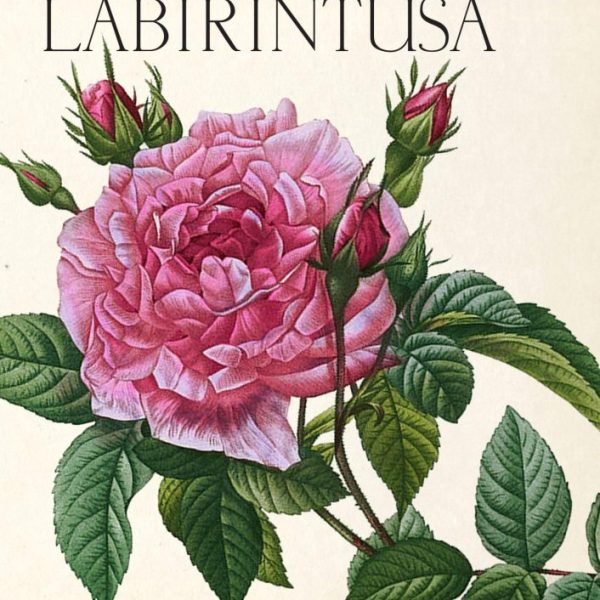 A RÓZSA LABIRINTUSA - EGY ÖRÖK JELKÉP NYOMÁBAN