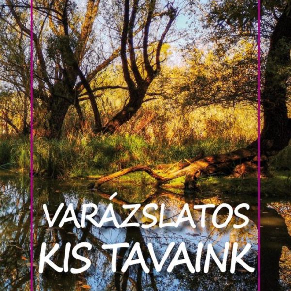 VARÁZSLATOS KIS TAVAINK - KIS TERMÉSZETKALAUZ