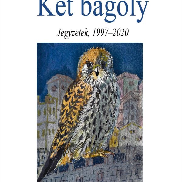 KÉT BAGOLY - TŰNŐDÉSEK, 1997-2020