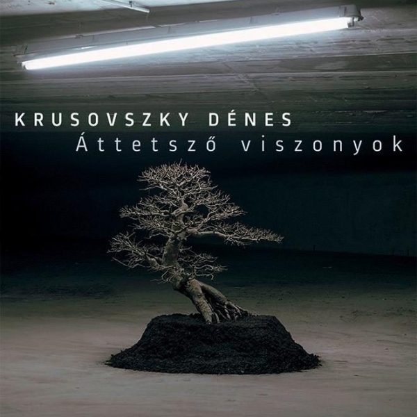 ÁTTETSZŐ VISZONYOK