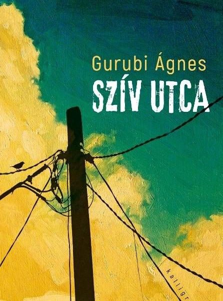 SZÍV UTCA - KÖTÖTT