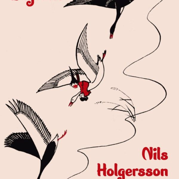 NILS HOLGERSSON CSODÁLATOS UTAZÁSA