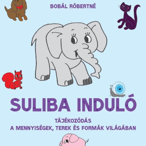 SULIBA INDULÓ - TÁJÉKOZÓDÁS A MENNYISÉGEK, TEREK ÉS FORMÁK VILÁGÁBAN