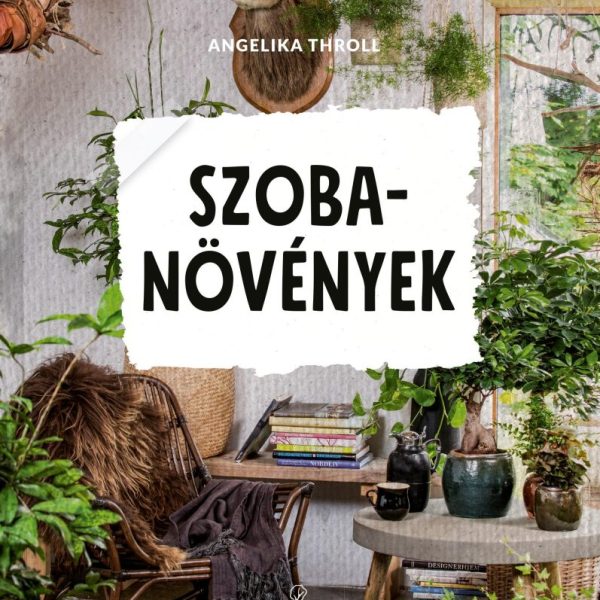 SZOBANÖVÉNYEK