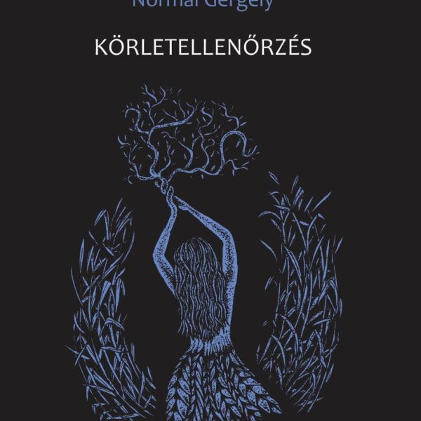 KÖRLETELLENŐRZÉS