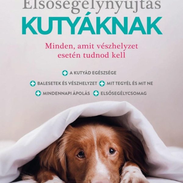 ELSŐSEGÉLYNYÚJTÁS KUTYÁKNAK