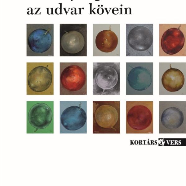 NÉHÁNY LÉPÉS AZ UDVAR KÖVEIN