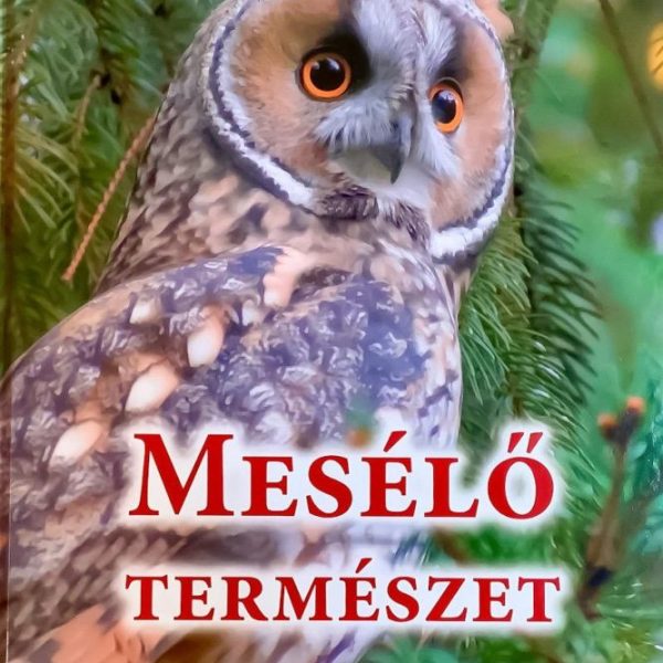 MESÉLŐ TERMÉSZET