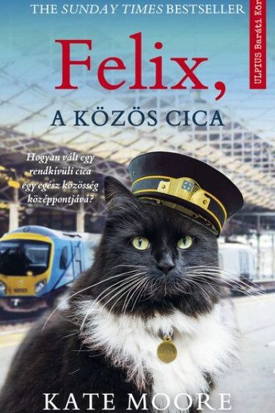 FELIX, A KÖZÖS CICA