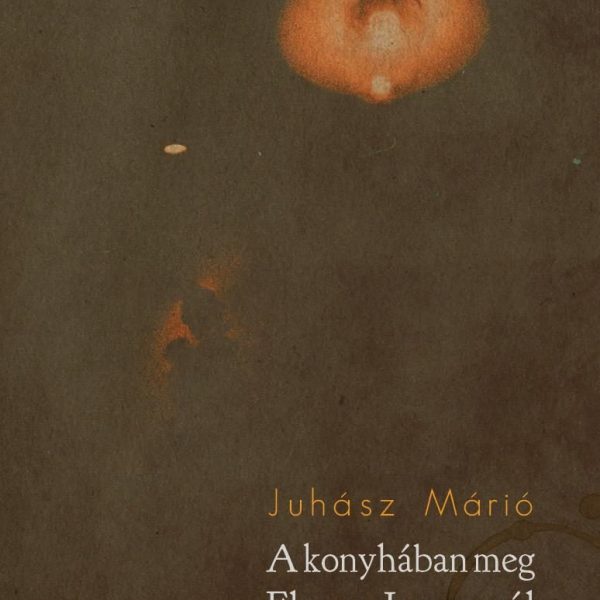 A KONYHÁBAN MEG ELMORE JAMES SZÓL