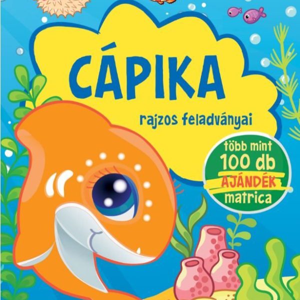 CÁPIKA - RAJZOS FELADVÁNYAI