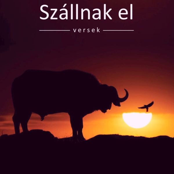 SZÁLLNAK EL - VERSEK -